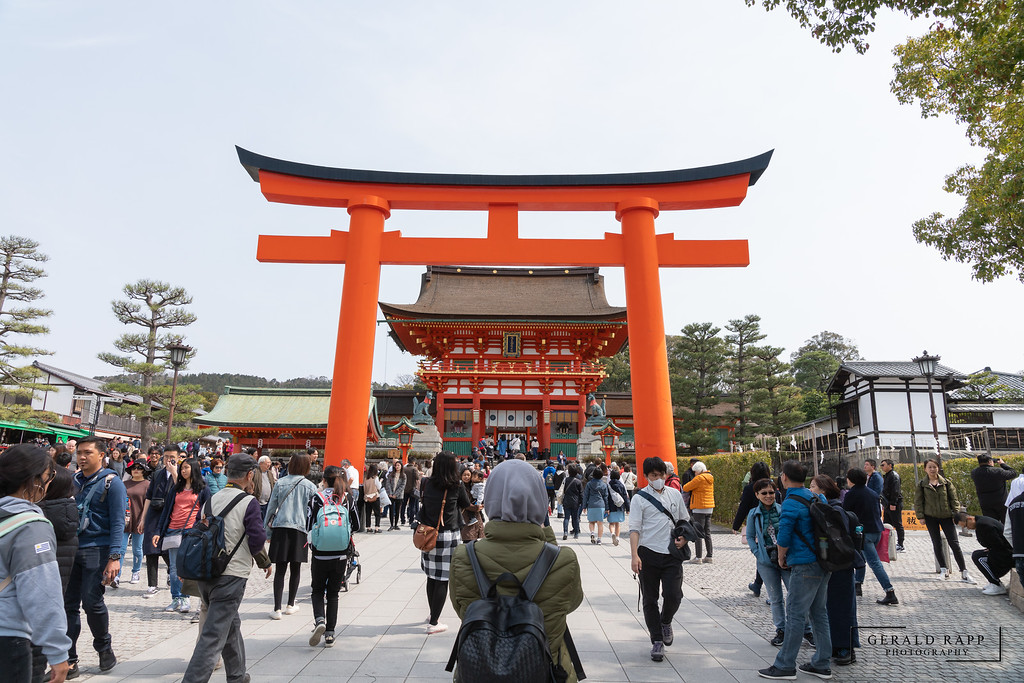 Eingangs-Torii Fushimi-Inari-Taisha
