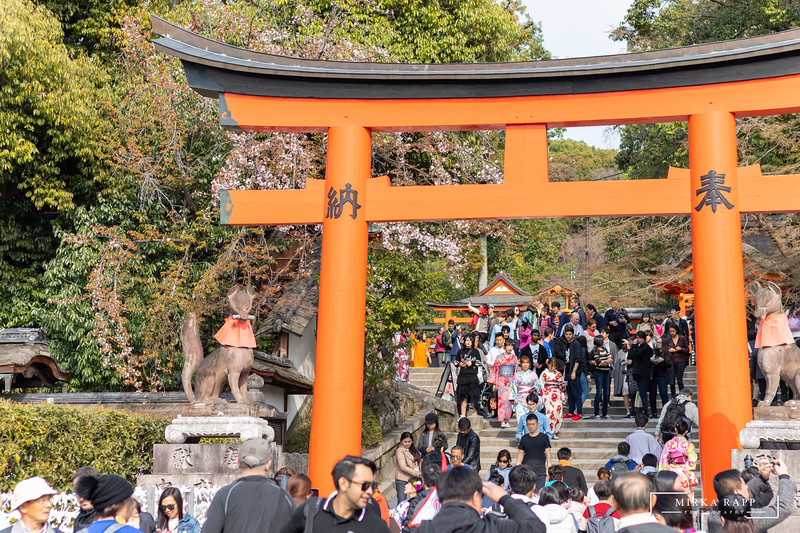 Fushimi-Inari ist wahrlich ein ständig voller Shintō-Schrein..