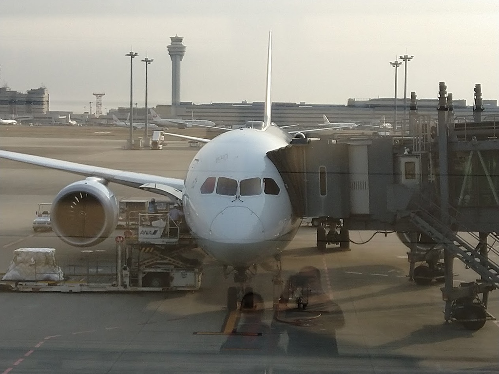Unsere ANA Maschine nach Tōkyō Haneda - Boeing 787